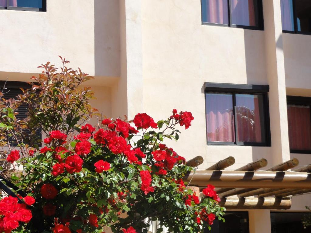 Hotel L'Hacienda Мартиг Экстерьер фото